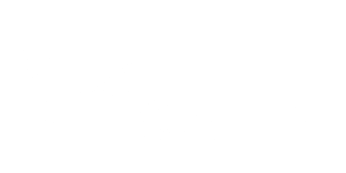 Bold_View_Logo_Landscape_White_narrow